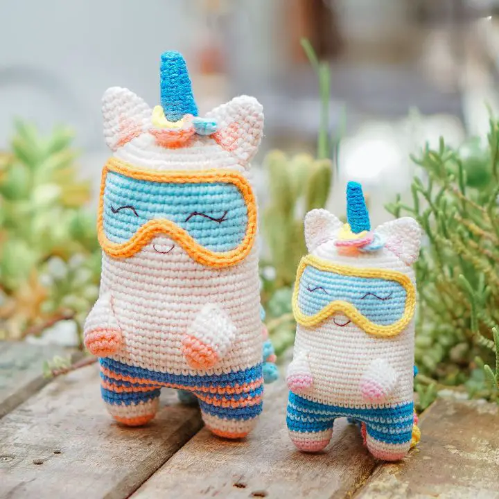 Unicorn Summer Unicorn Summer